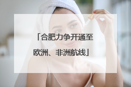 合肥力争开通至欧洲、非洲航线