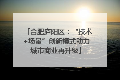 合肥庐阳区：“技术+场景”创新模式助力城市商业再升级
