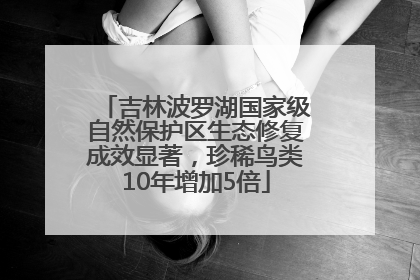吉林波罗湖国家级自然保护区生态修复成效显著,珍稀鸟类10年增加5倍