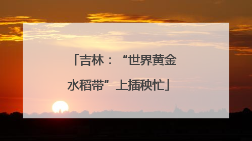 吉林：“世界黄金水稻带”上插秧忙