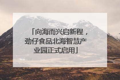 向海而兴启新程，劲仔食品北海智慧产业园正式启用