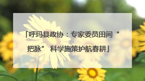 呼玛县政协：专家委员田间“把脉” 科学施策护航春耕