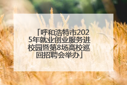 呼和浩特市2025年就业创业服务进校园暨第8场高校巡回招聘会举办