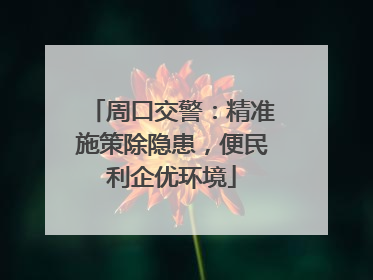 周口交警：精准施策除隐患，便民利企优环境