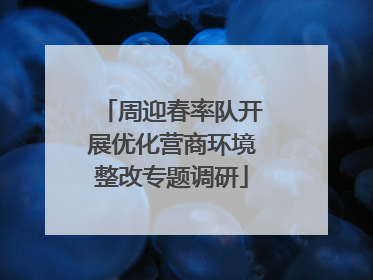 周迎春率队开展优化营商环境整改专题调研