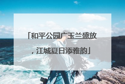 和平公园广玉兰盛放，江城夏日添雅韵