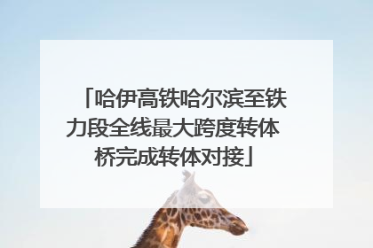 哈伊高铁哈尔滨至铁力段全线最大跨度转体桥完成转体对接