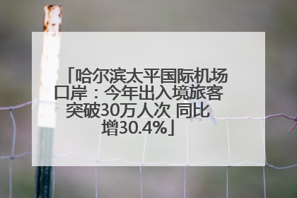 哈尔滨太平国际机场口岸：今年出入境旅客突破30万人次 同比增30.4%