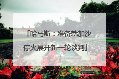 哈马斯：准备就加沙停火展开新一轮谈判