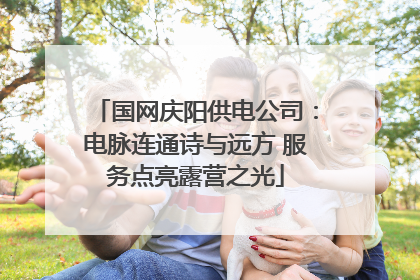 国网庆阳供电公司：电脉连通诗与远方 服务点亮露营之光
