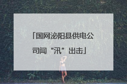 国网泌阳县供电公司闻“汛”出击