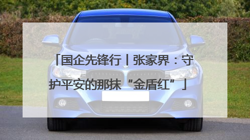 国企先锋行丨张家界：守护平安的那抹“金盾红”