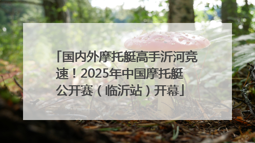国内外摩托艇高手沂河竞速！2025年中国摩托艇公开赛（临沂站）开幕