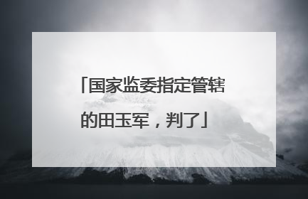 国家监委指定管辖的田玉军，判了