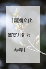 国潮文化盛宴开进万寿寺