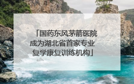 国药东风茅箭医院成为湖北省首家专业复学康复训练机构