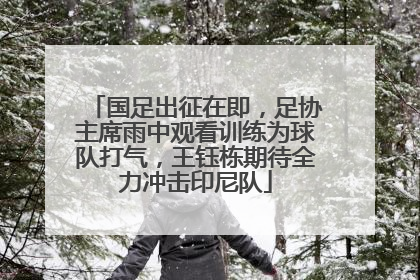 国足出征在即，足协主席雨中观看训练为球队打气，王钰栋期待全力冲击印尼队
