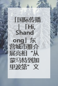 国际传播｜「Hi,Shandong」东营城市推介展亮相“从蒙马特到加里波第”文化节