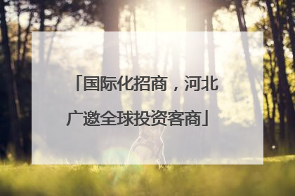 国际化招商，河北广邀全球投资客商
