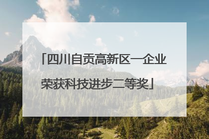 四川自贡高新区一企业荣获科技进步二等奖