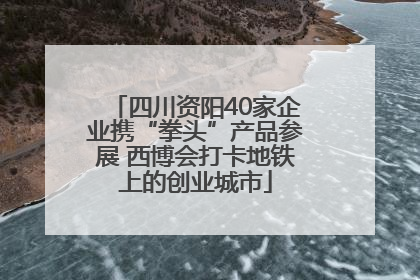 四川资阳40家企业携“拳头”产品参展 西博会打卡地铁上的创业城市