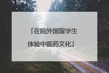 在皖外国留学生体验中医药文化