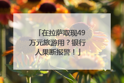 在拉萨取现49万元旅游用？银行人果断报警！