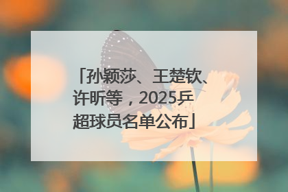 孙颖莎、王楚钦、许昕等，2025乒超球员名单公布