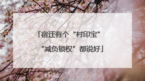 宿迁有个“村印宝” “减负锁权”都说好