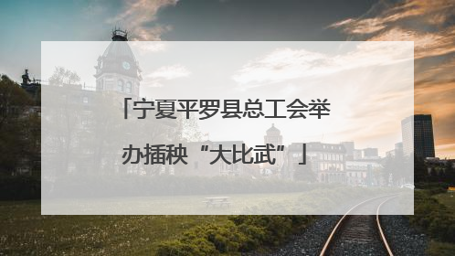 宁夏平罗县总工会举办插秧“大比武”