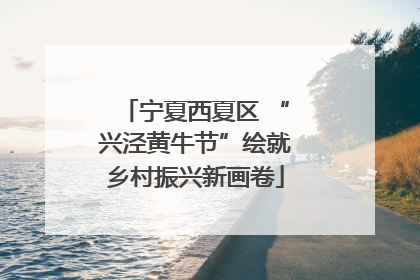 宁夏西夏区 “兴泾黄牛节”绘就乡村振兴新画卷