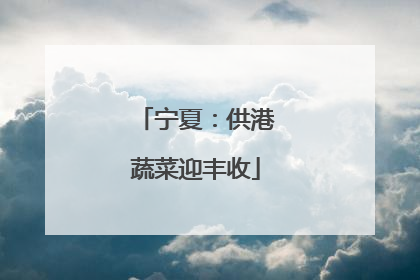 宁夏：供港蔬菜迎丰收