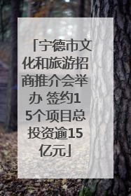 宁德市文化和旅游招商推介会举办 签约15个项目总投资逾15亿元