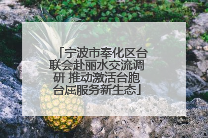 宁波市奉化区台联会赴丽水交流调研 推动激活台胞台属服务新生态
