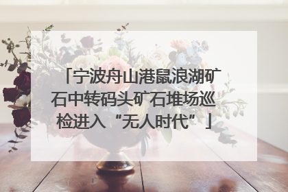 宁波舟山港鼠浪湖矿石中转码头矿石堆场巡检进入“无人时代”