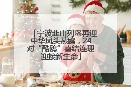 宁波韭山列岛再迎中华凤头燕鸥，24对“酷鸥”喜结连理迎接新生命