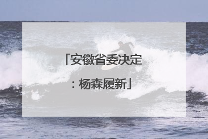 安徽省委决定：杨森履新