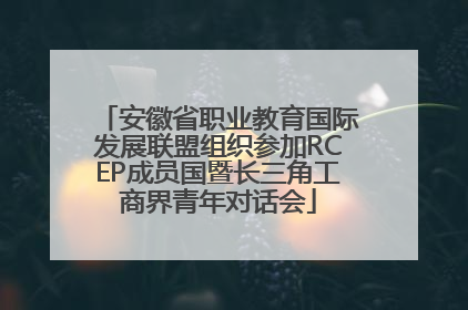安徽省职业教育国际发展联盟组织参加RCEP成员国暨长三角工商界青年对话会