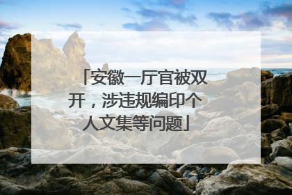 安徽一厅官被双开，涉违规编印个人文集等问题