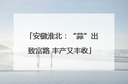 安徽淮北：“蒜”出致富路 丰产又丰收