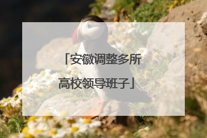 安徽调整多所高校领导班子