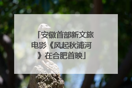 安徽首部新文旅电影《风起秋浦河》在合肥首映