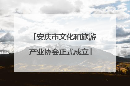 安庆市文化和旅游产业协会正式成立
