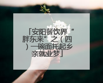 安阳餐饮界“胖东来”之（四）一碗面托起乡亲就业梦