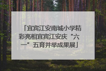 宜宾江安南城小学精彩亮相宜宾江安庆“六一”五育并举成果展