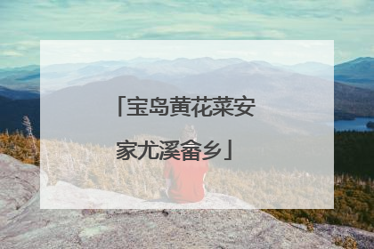 宝岛黄花菜安家尤溪畲乡