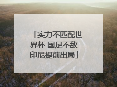 实力不匹配世界杯 国足不敌印尼提前出局