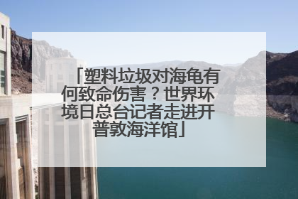 塑料垃圾对海龟有何致命伤害？世界环境日总台记者走进开普敦海洋馆
