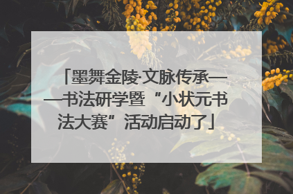 墨舞金陵·文脉传承——书法研学暨“小状元书法大赛”活动启动了