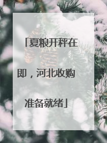 夏粮开秤在即，河北收购准备就绪